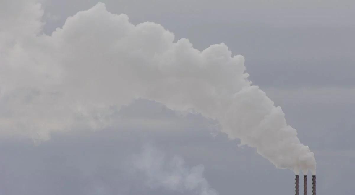 COP22: ważna deklaracja Polski ws. redukcji CO2
