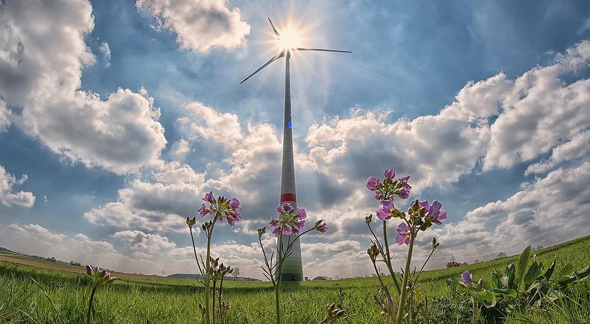 Szczyt Klimatyczny TOGETAIR. Ekspert: Polskę trzeba przestawić na zeroemisyjne tory