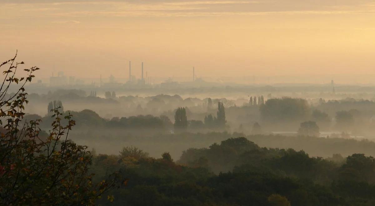 Niemcy walczą ze smogiem. Normy przekroczone w 35 miastach