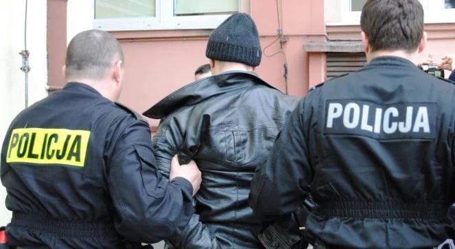 Podejrzewany o porwanie 11-latki zostanie przesłuchany?