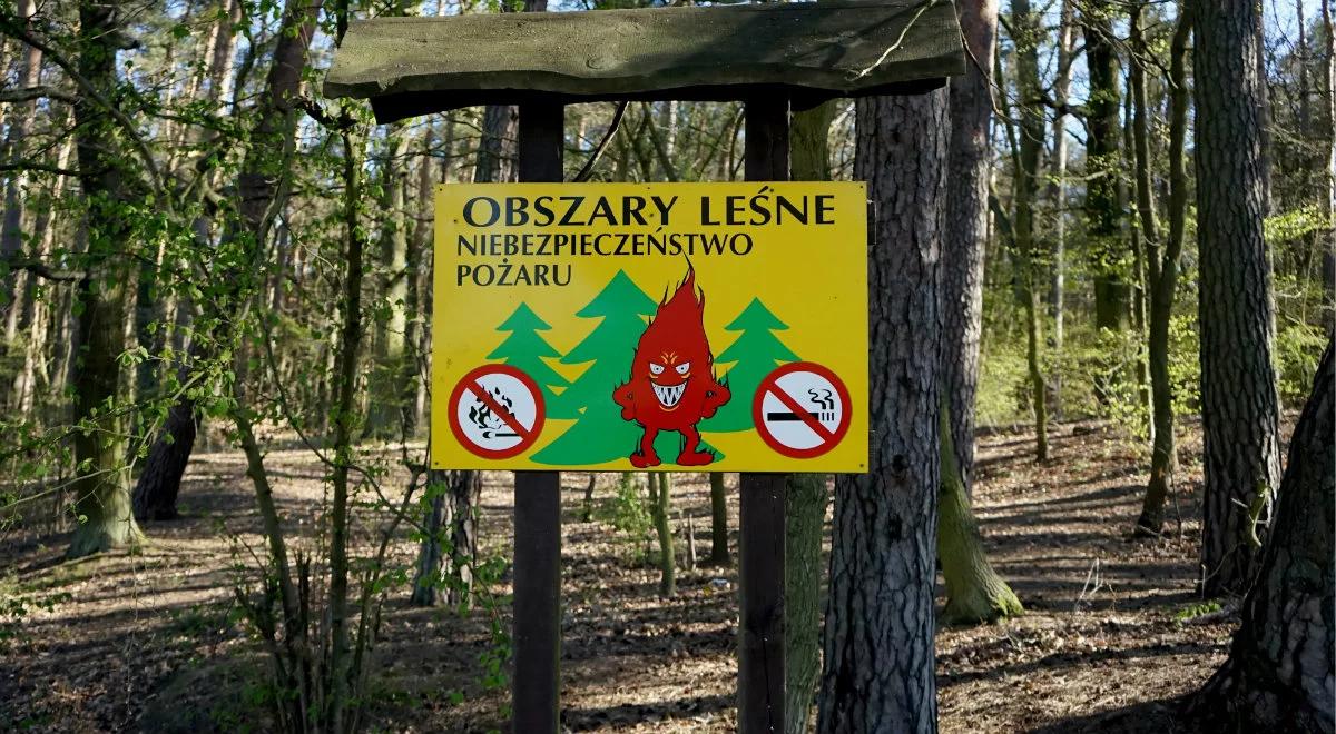 Zagrożenie pożarowe w lasach. Rzecznik rządu o ewentualnym zakazie wstępu