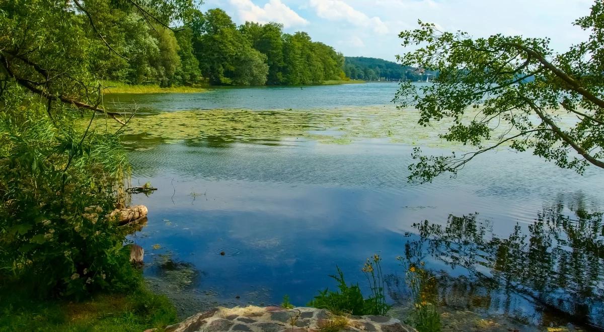 Mazury wysychają. Festiwal DOWÓD - głos w sprawie klimatu