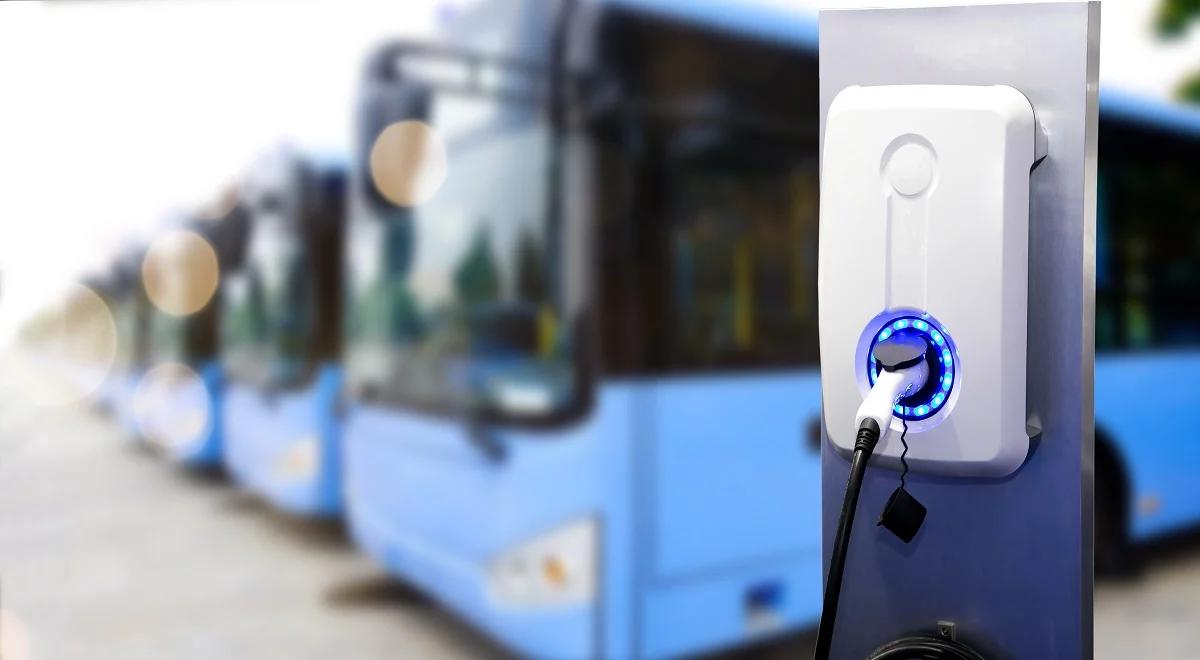 Timmermans w PE chwali Polskę. "Jest europejskim liderem w produkcji autobusów elektrycznych"