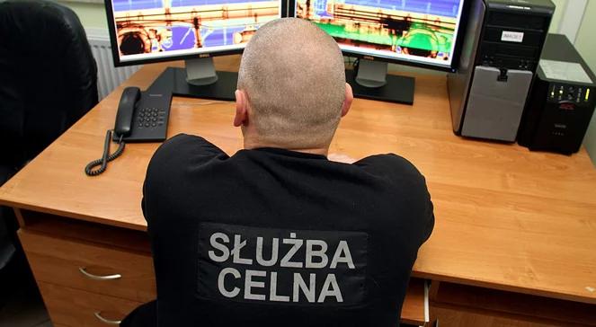 Nielegalne pamiątki z wakacji