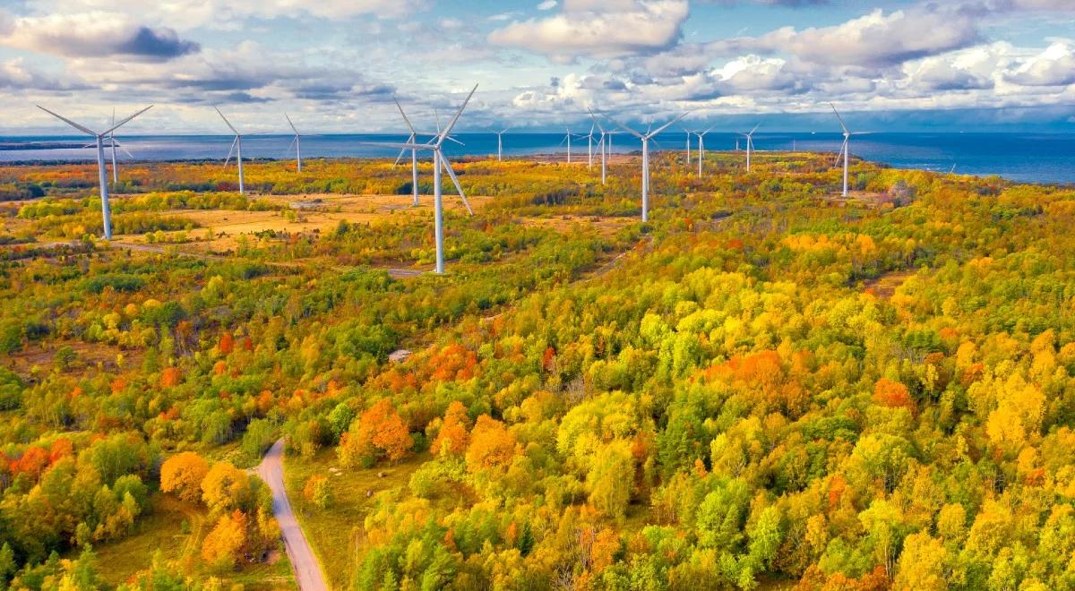 Czy za 5 lat więcej prądu powstanie z z odnawialnych źródeł energii niż z węgla ? Znamy dane MAE