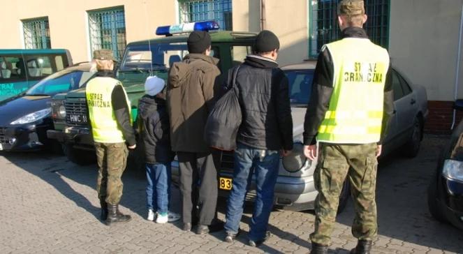 Podkarpacie: nielegalni imigranci z Afganistanu