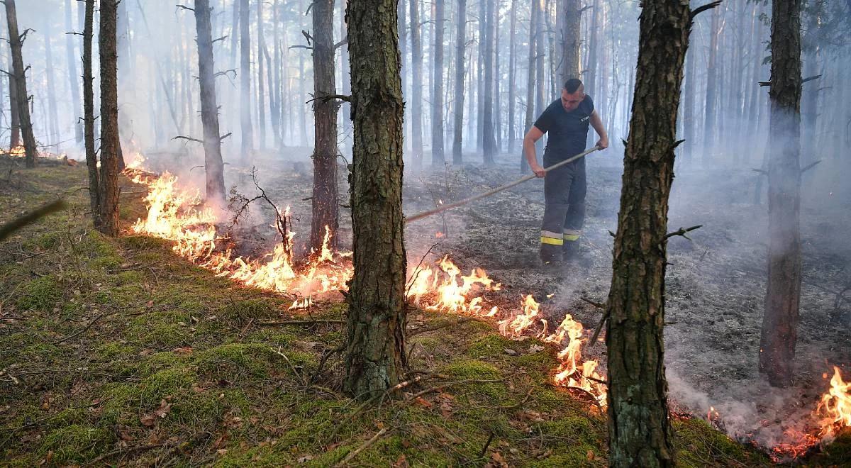 IMGW ostrzega. Ekstremalne zagrożenie pożarami w lasach