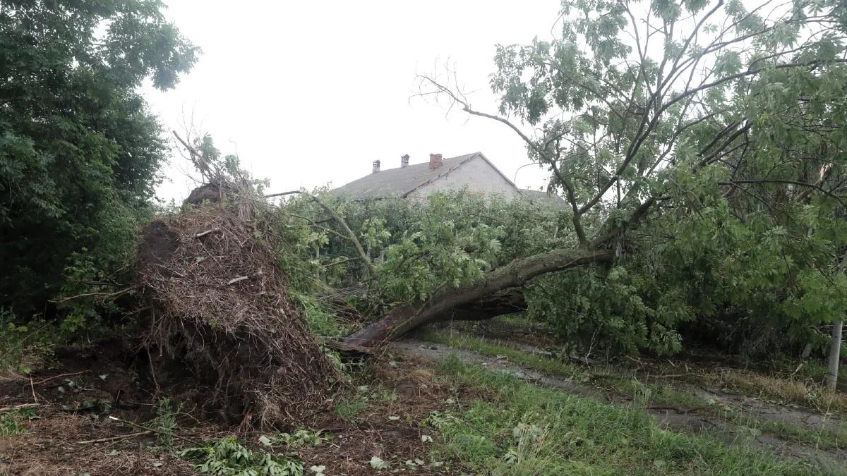 Blisko 2 tys. interwencji strażaków po burzach. Utrudnienia na Zakopiance