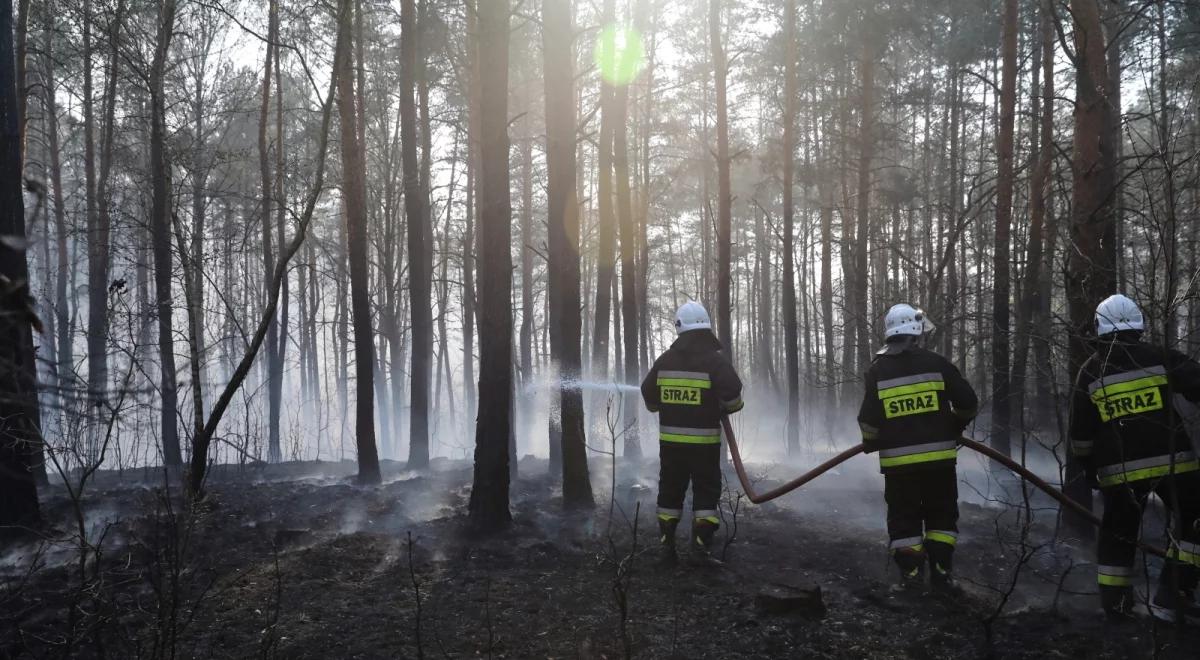 W ciągu ostatniej doby wybuchło kilkaset pożarów w Polsce. Jedna osoba zginęła, pięć rannych