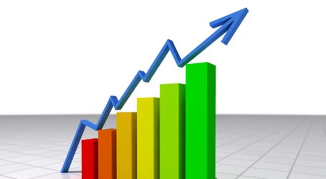 Cichoń: wzrost PKB w 2013 r. o 1,5 proc. jest realny