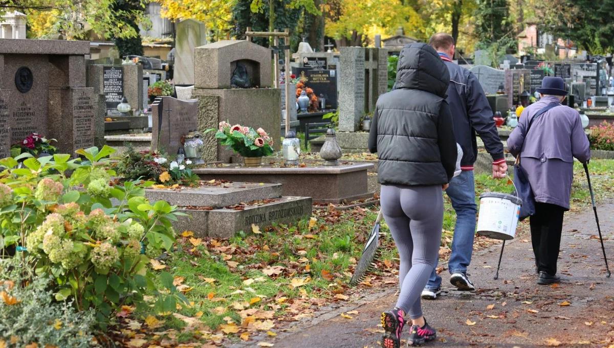 Pogoda na Wszystkich Świętych. IMGW: kierowcy i piesi powinni uważać