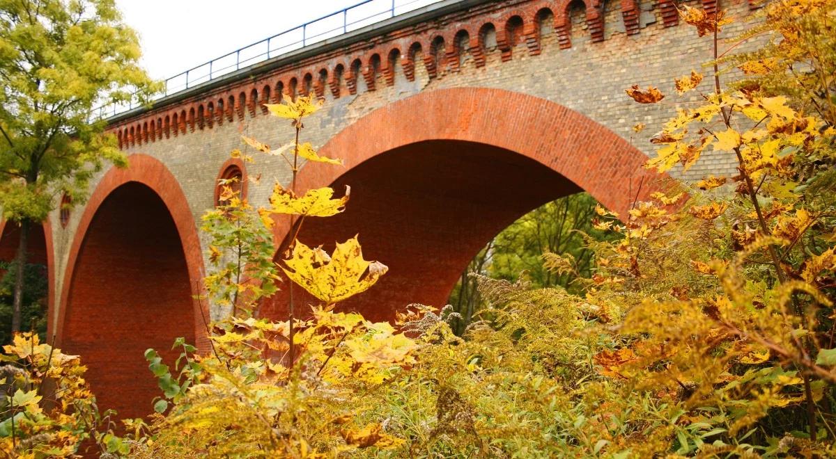Prognoza pogody: sobota jesienna i chłodna, na północy i wschodzie uwaga na deszcze