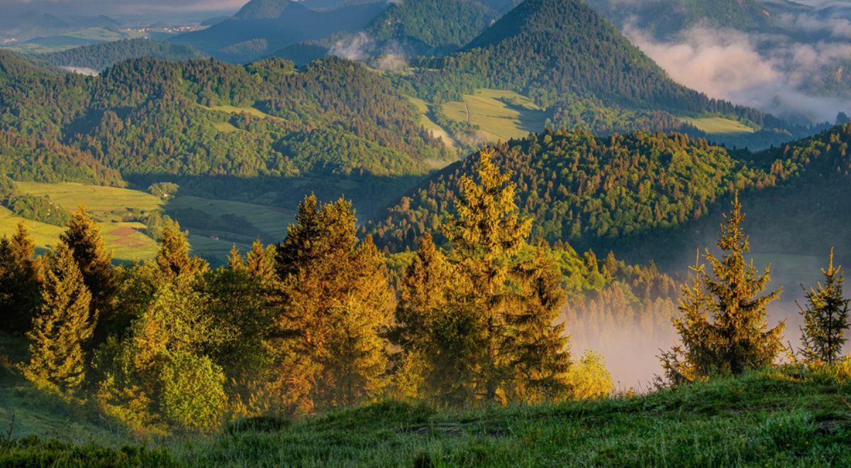 W Polsce powstaną nowe parki narodowe? Minister klimatu i środowiska: to dla nas priorytet