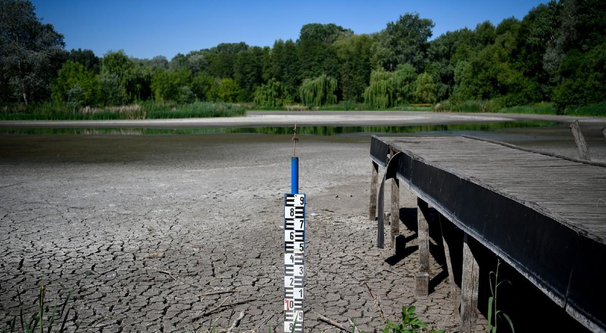 Katastrofalne skutki suszy na Węgrzech. Wyschło jezioro Vekeri