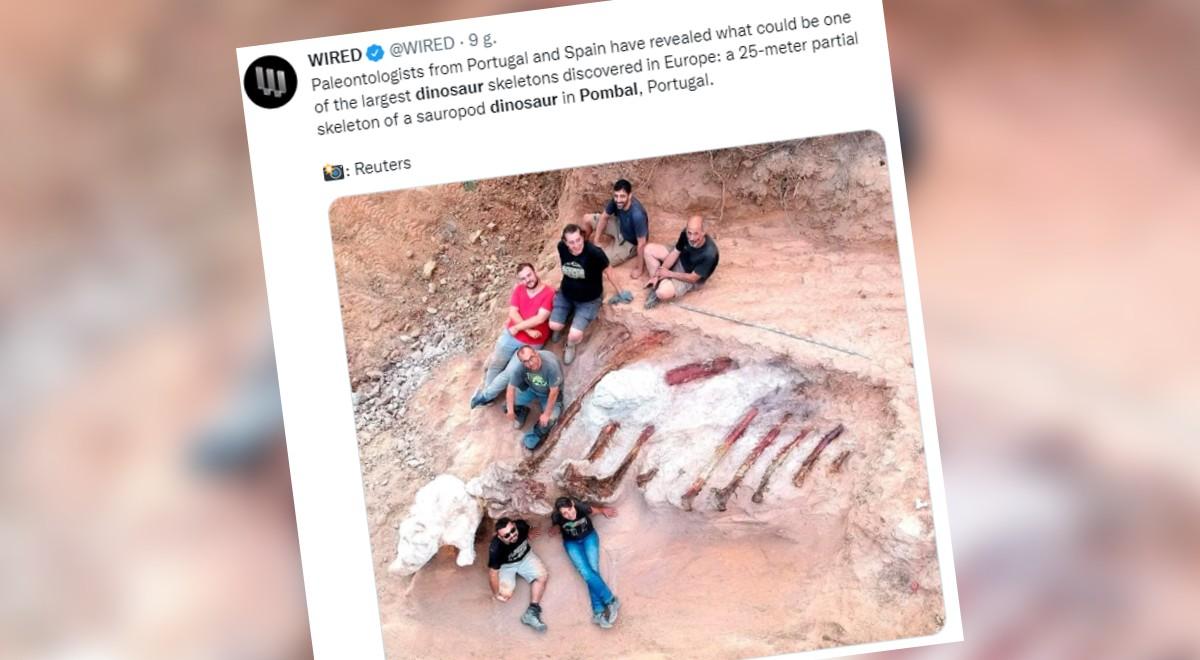 Sensacyjne odkrycie w Portugalii. Znaleziono szkielet dinozaura. To największy okaz w Europie