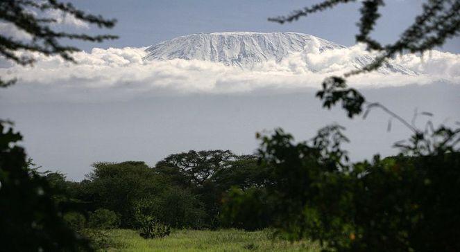 Pokonali białaczkę, teraz chcą wejść na Kilimandżaro. Rusza wyprawa "Szpik na Szczyt”