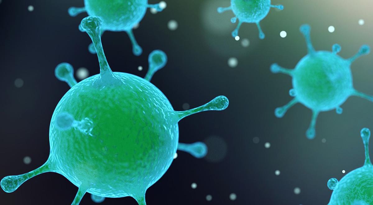 Polscy naukowcy walczą z lekoodpornością bakterii