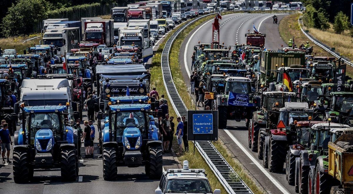 Gigantyczne protesty rolników w Holandii. "Unijne elity chcą zlikwidować branżę"