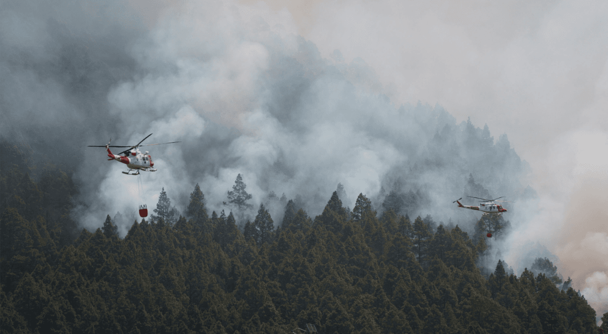 Historyczna skala pożarów na Teneryfie. Ogień strawił ponad połowę lasów wyspy