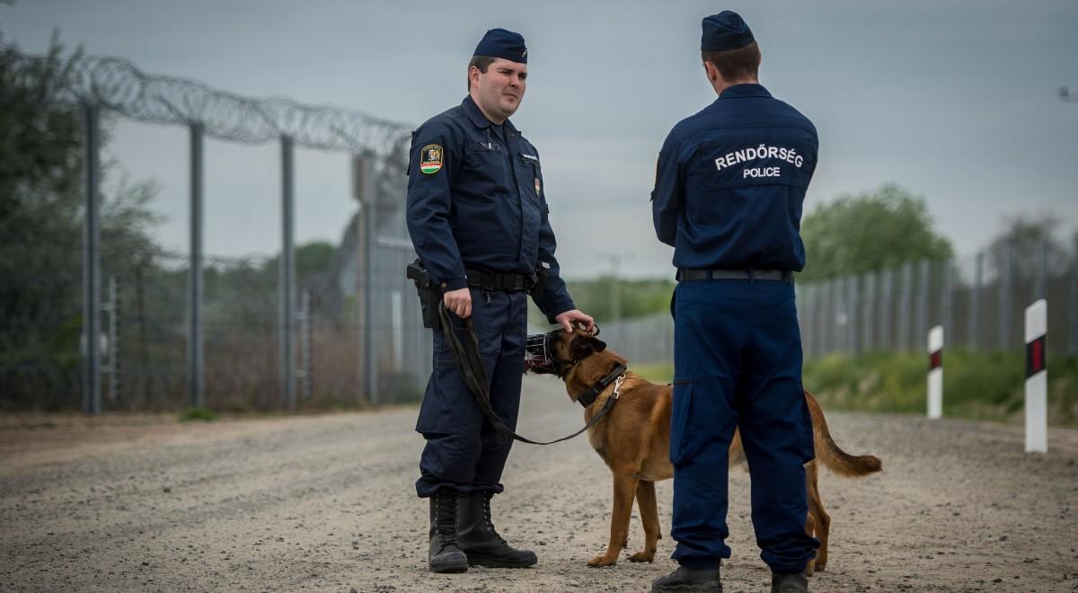Trudna sytuacja migracyjna na granicy węgiersko-serbskiej. "Imigranci posługują się bronią"