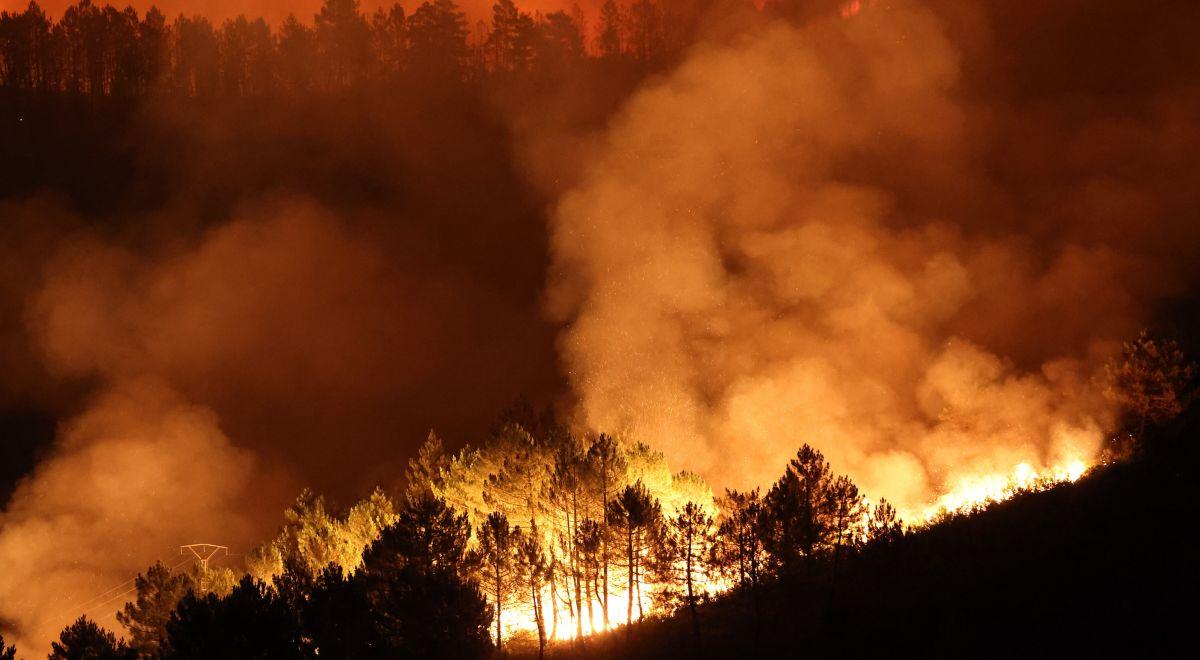 Katastrofalne pożary w Hiszpanii. Tysiące hektarów lasów spłonęło, trwa ewakuacja ludności