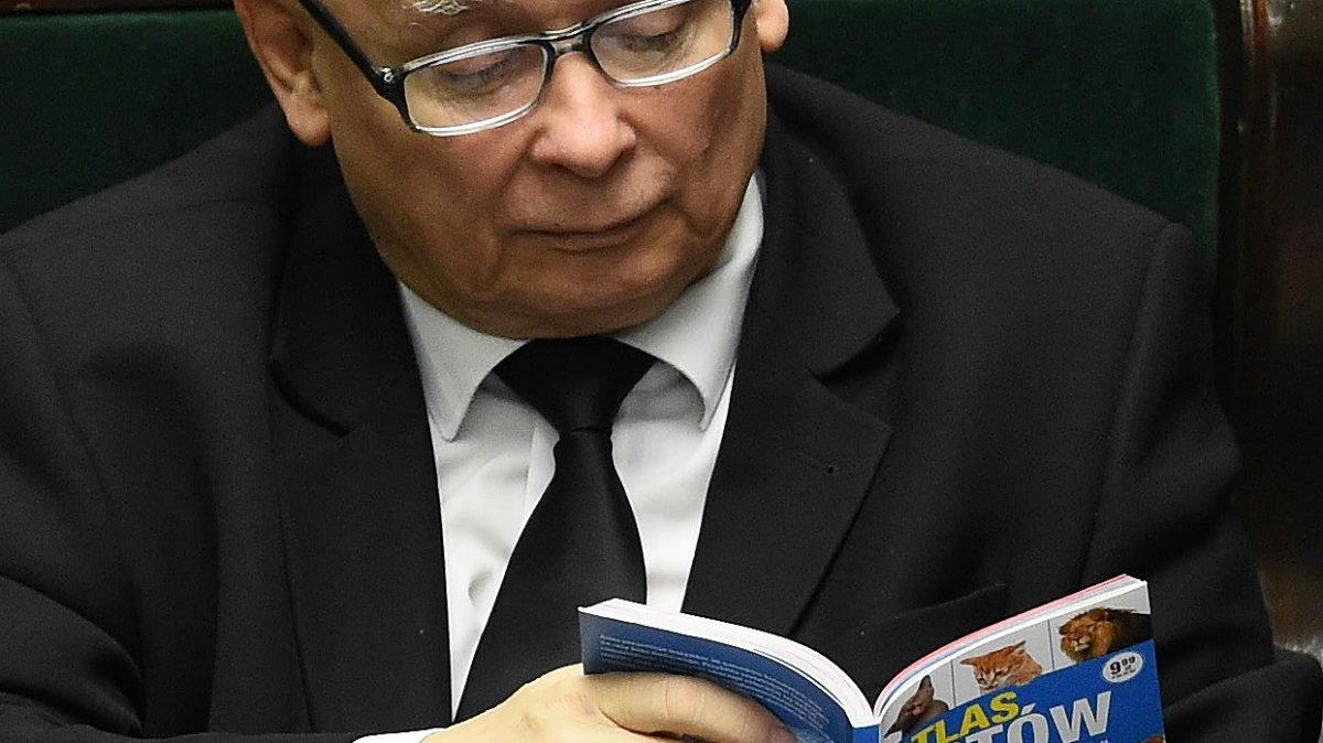 Co czyta Jarosław Kaczyński? To zdjęcie podbija sieć