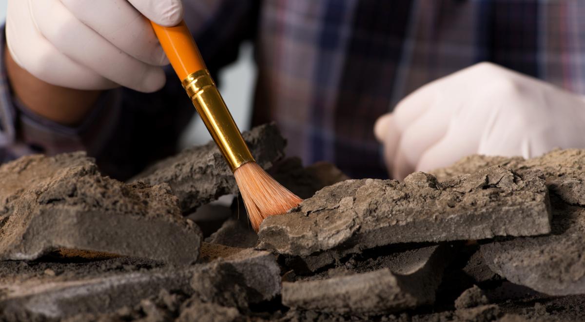 Niezwykłe znalezisko archeologów w Zjednoczonych Emiratach Arabskich