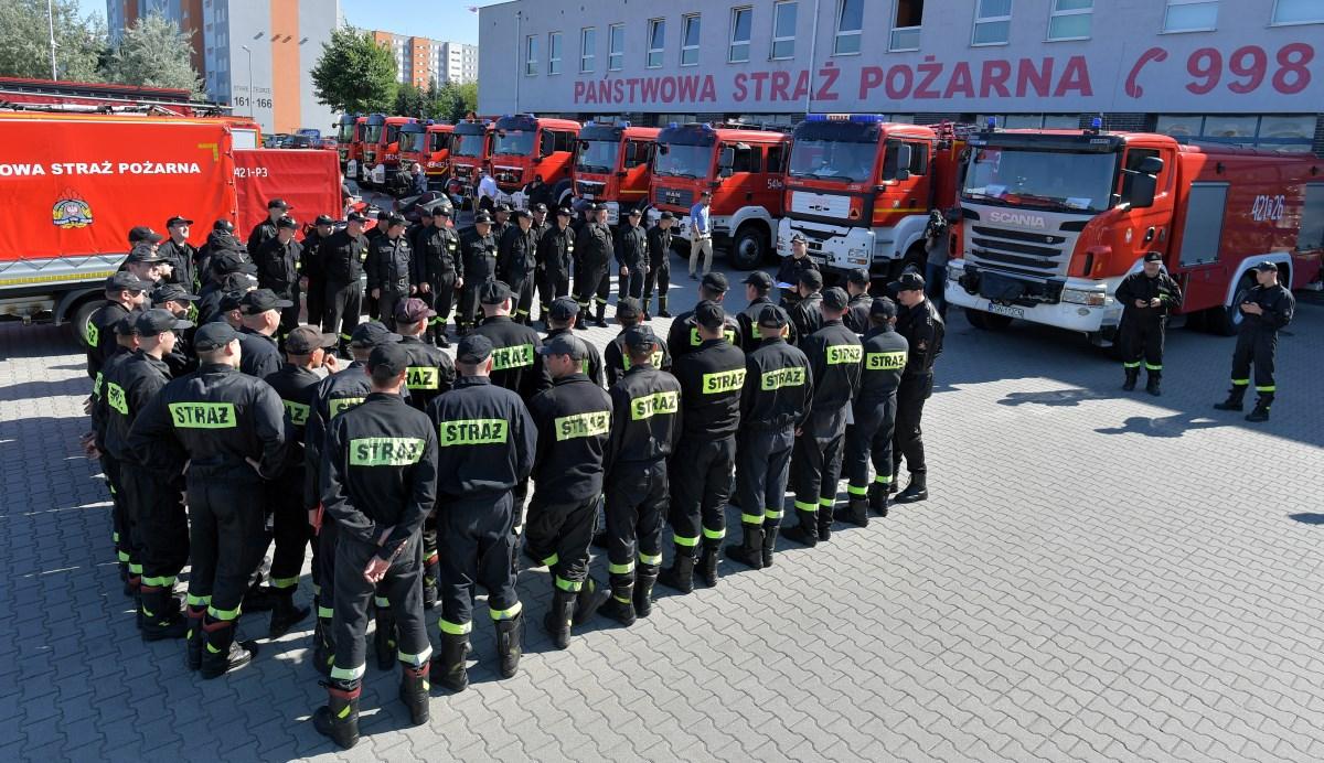Pożary w Szwecji. Strażacy z Polski są już na miejscu, pomogą w walce z żywiołem