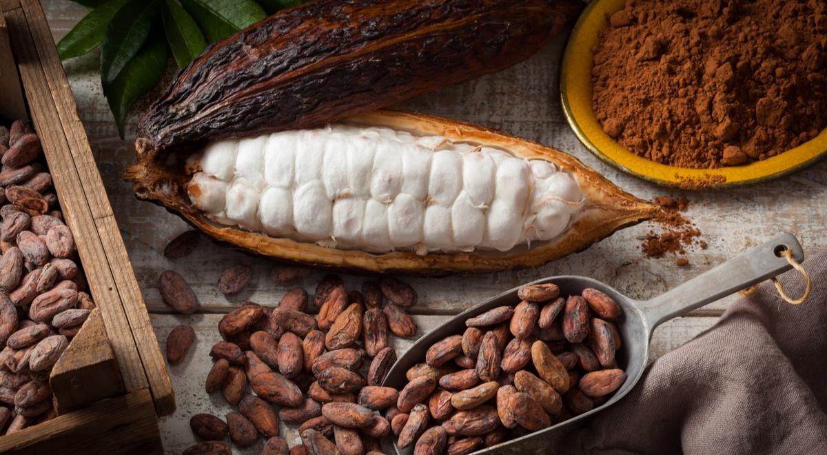 Czy czekolada będzie drożeć? Wysokie ceny ziarna kakaowca negatywnie wpłyną na ceny tego przysmaku