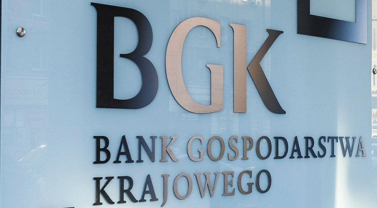 BGK wciąż ma środki na wsparcie dla przedsiębiorców. Z pomocy korzysta także służba zdrowia