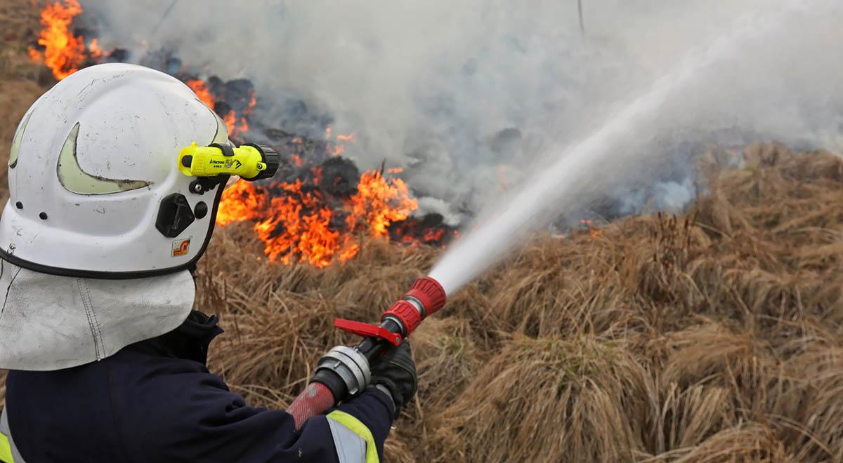 Nowe pożary na Podlasiu. Ogień ponownie w Biebrzańskim Parku Narodowym