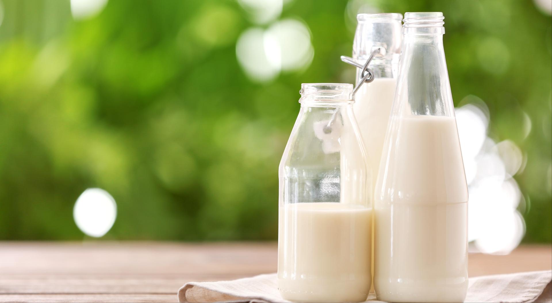 Analitycy: rynek mleka odporny na pandemię. Rosną przychody polskich eksporterów