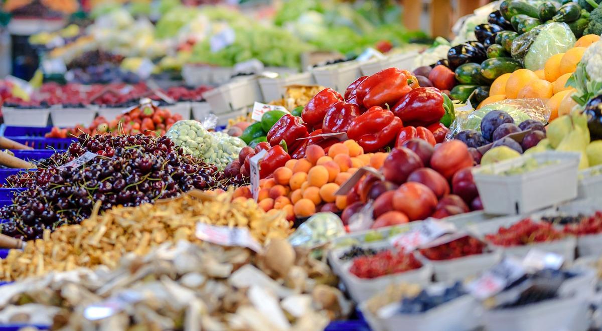 Polska żywność dostępna w 192 krajach. Eksporterzy zdobywają nowe rynki