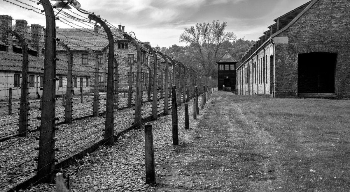 Film KE o Auschwitz. Siemoniak: fatalny błąd, nie podejrzewam Komisji o działanie intencjonalne 