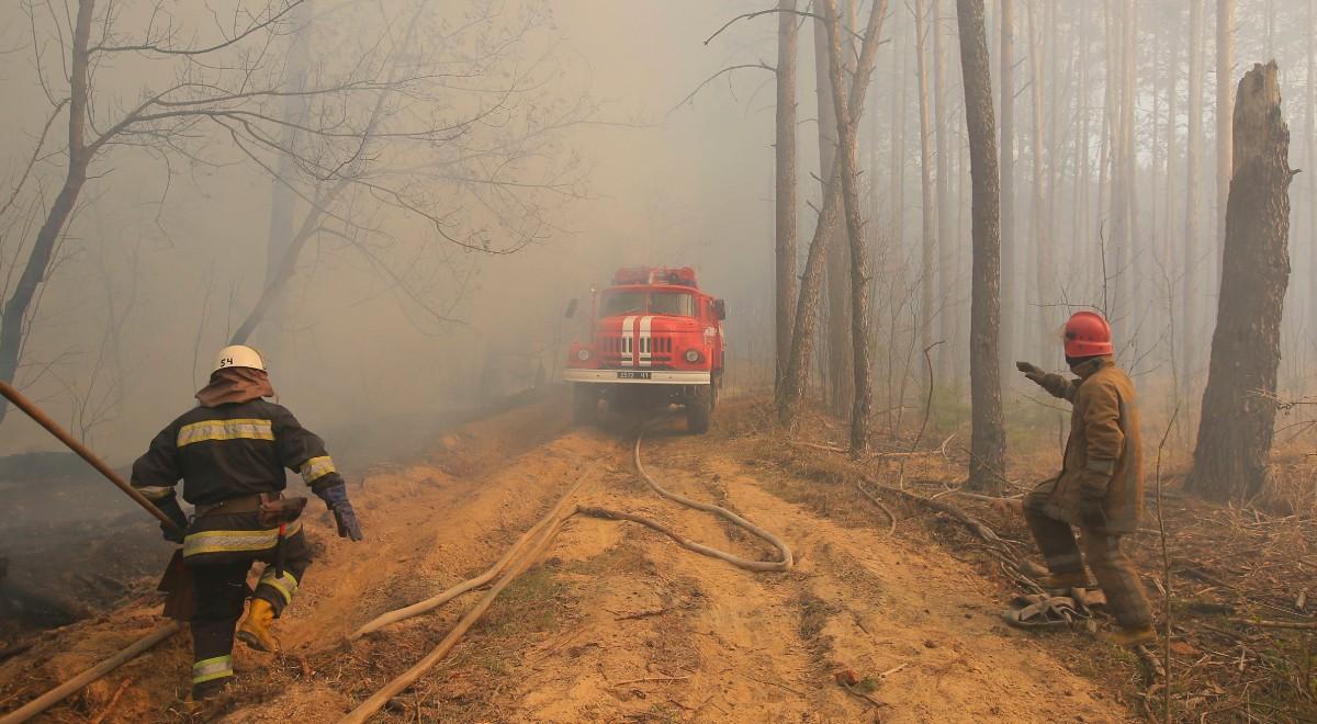 Dym z pożarów czarnobylskich lasów zagrożeniem dla Polski? Fizyk medyczny wyjaśnia