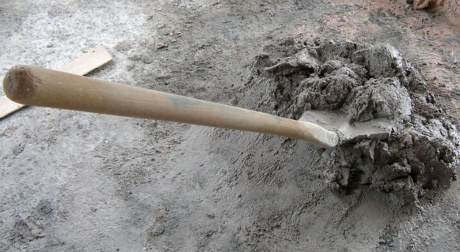 Polacy odkryli skamieliny najstarszych na świecie żółwi