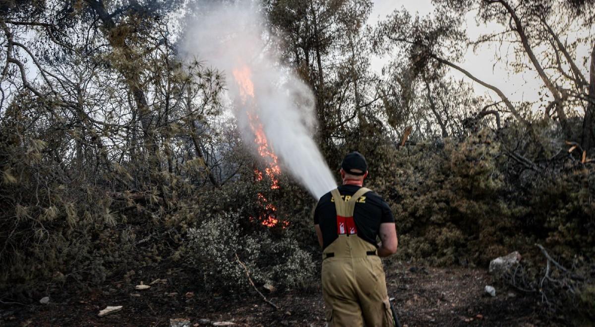 Pożary w Grecji. Polscy strażacy wznowili działania w okolicy miejscowości Mandera i Stefani