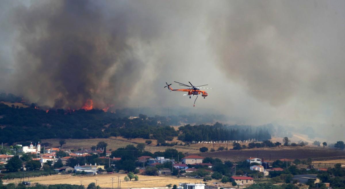 Pożary lasów w Grecji. Z ogniem walczy ponad 200 strażaków, ewakuowano kolejne wioski