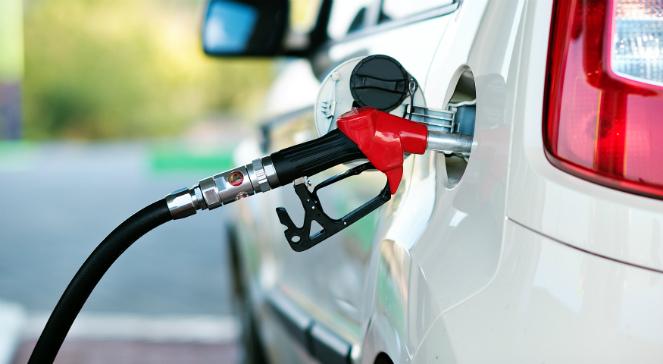 Tańsze tankowanie na stacjach benzynowych: powodem koronawirus i mniejszy popyt na paliwa