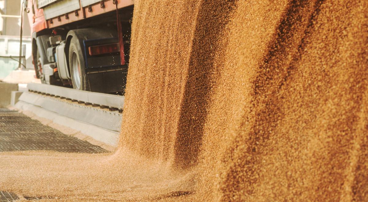 Wicepremier Henryk Kowalczyk: będzie pomoc resortu rolnictwa dla producentów zbóż