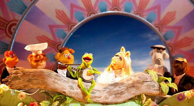 Kermit, Piggy, Zwierzak i Gonzo na ekranach kin