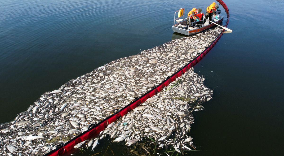 Rtęć w Odrze przyczyną śnięcia ryb? Jednoznaczna odpowiedź niemieckiego ministra