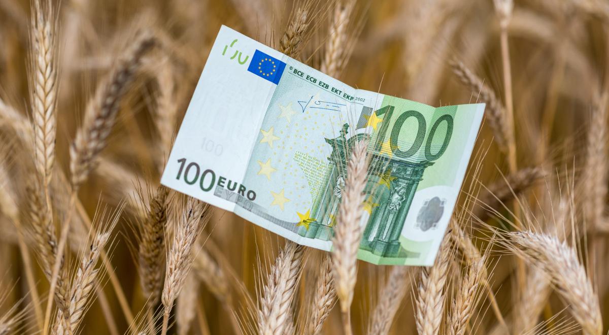 Bilans członkostwa w UE dla polskiego rolnictwa z pewnością jest dodatni