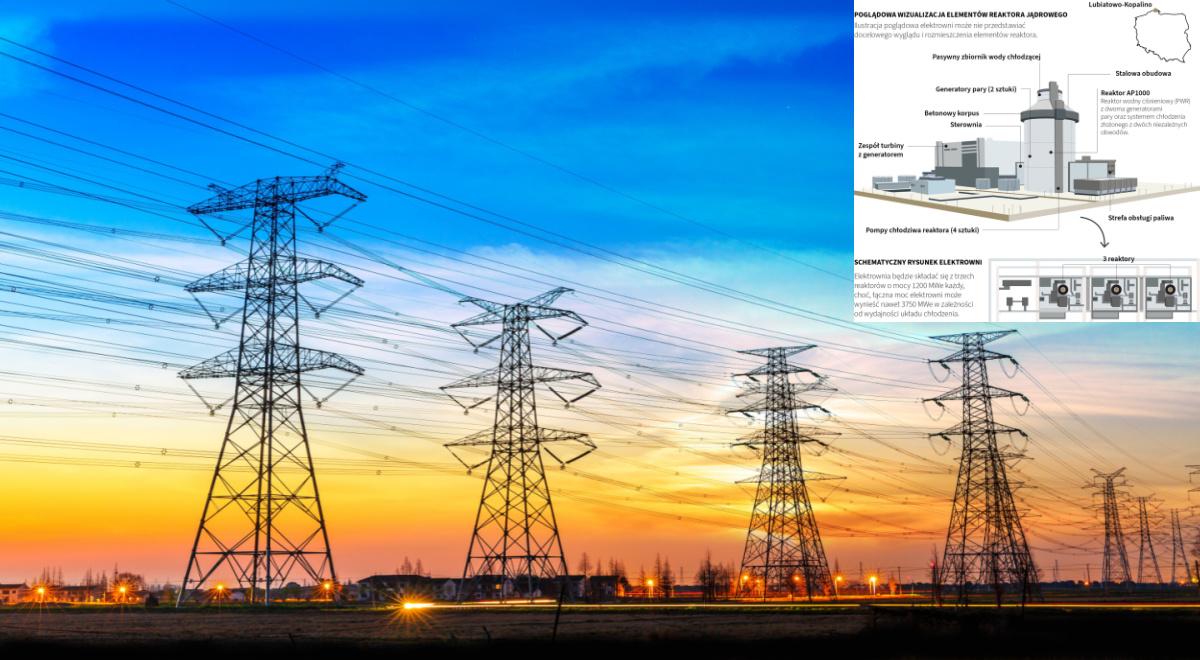 Transformacja sektora energetycznego. Droga do taniego prądu i różnorodnych źródeł dostaw