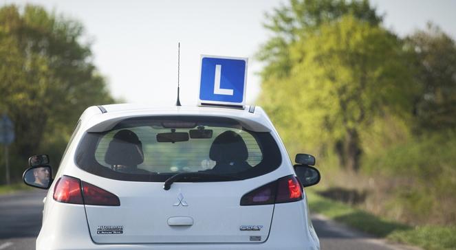 Zmiany w kursach na prawo jazdy dla kandydatów na kierowców