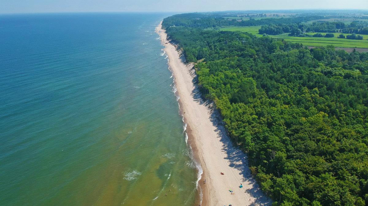 WWF apeluje: zainteresujmy się ochroną Bałtyku