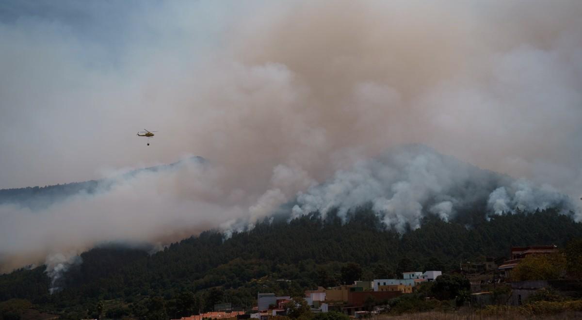 Gigantyczne pożary lasów na Teneryfie. Dramatyczna sytuacja, ewakuowano blisko 30 tys. osób