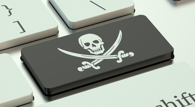 Przez piractwo internetowe polska gospodarka straciła ponad 3 mld zł w w 2016 r. 