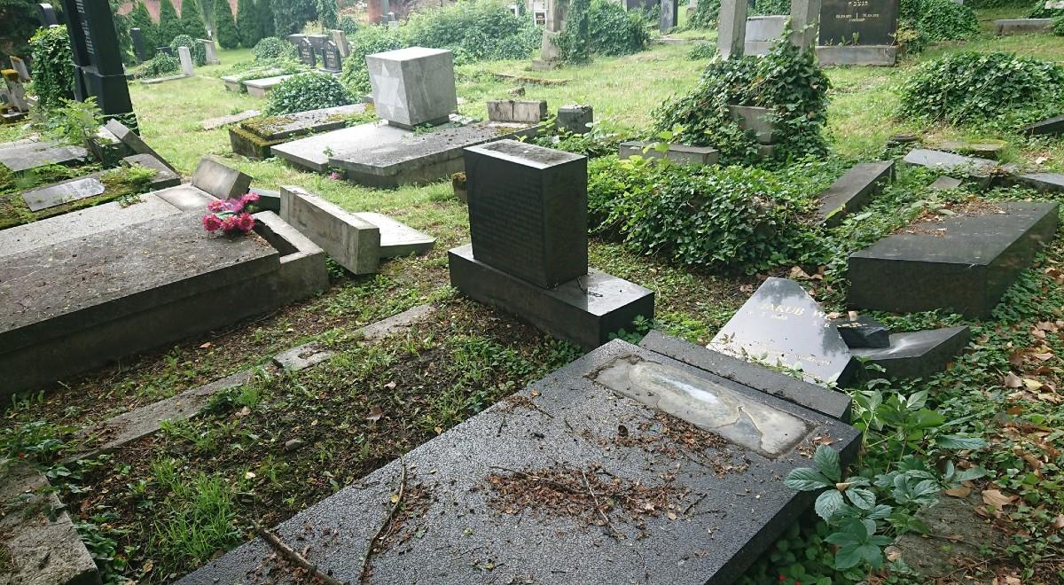 Dewastacja zabytkowego cmentarza żydowskiego. Policja: postępowanie w tej sprawie ma priorytetowy charakter