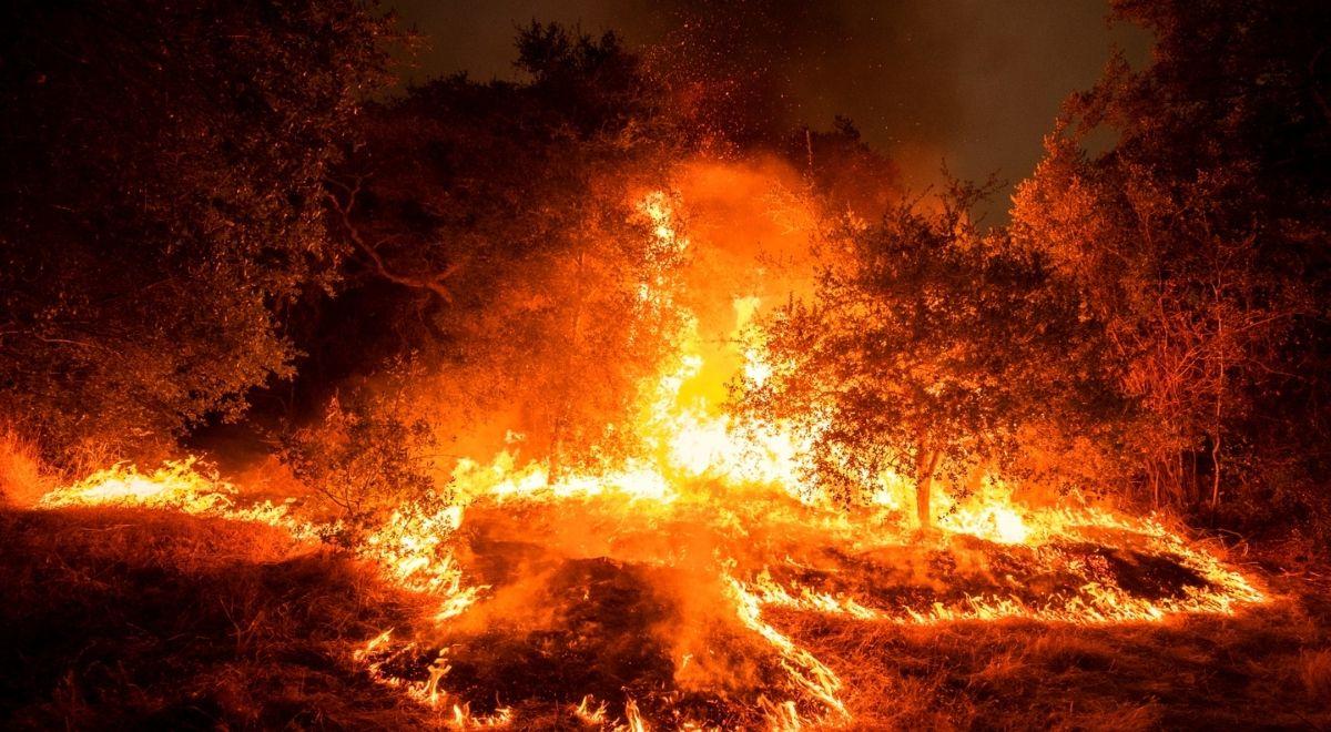 Ogromne pożary pustoszą zachodnie stany USA. Kilkadziesiąt ofiar śmiertelnych